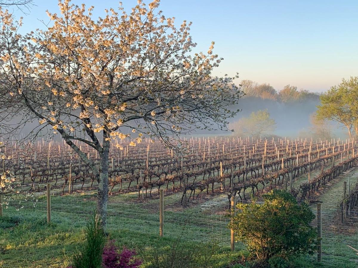 Lauberge De Nogaro Caupenne-d'Armagnac Eksteriør billede
